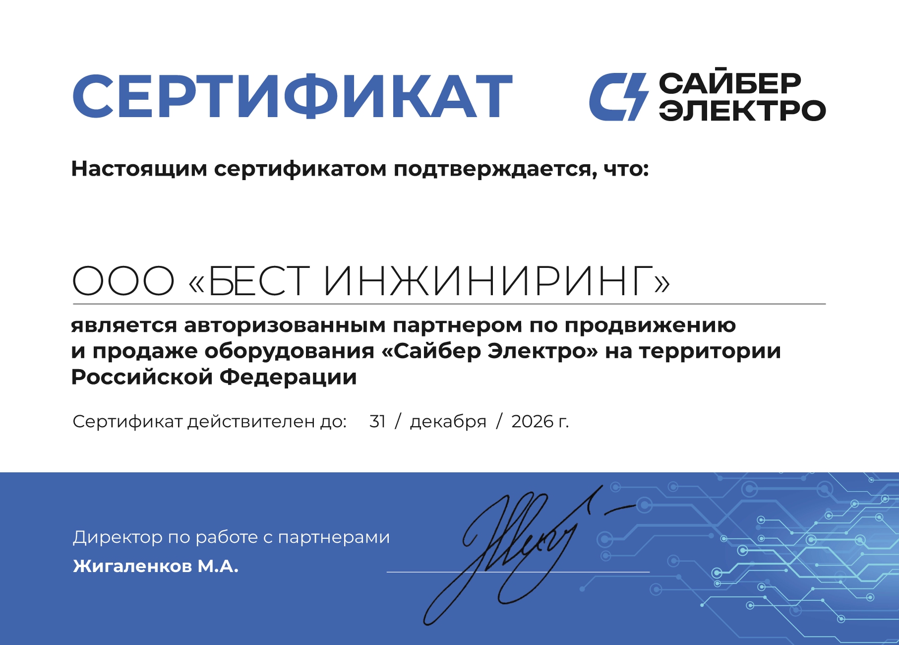Авторизованный партнер Сайбер Электро